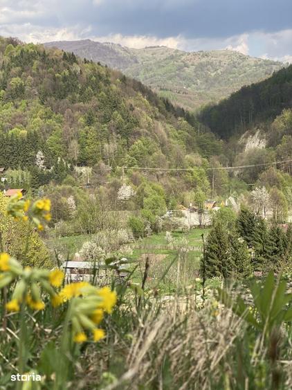 Teren de 4360 mp, în Valea Doftanei