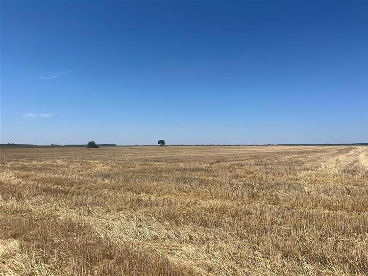 Teren agricol extravilan de 44000 mp, în Olcea