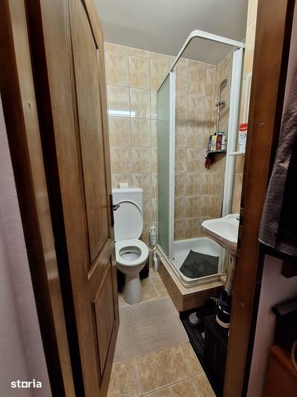 !! 3 Camere model mare.. zona Timocului-A. Saguna vedere spre Bega - 10