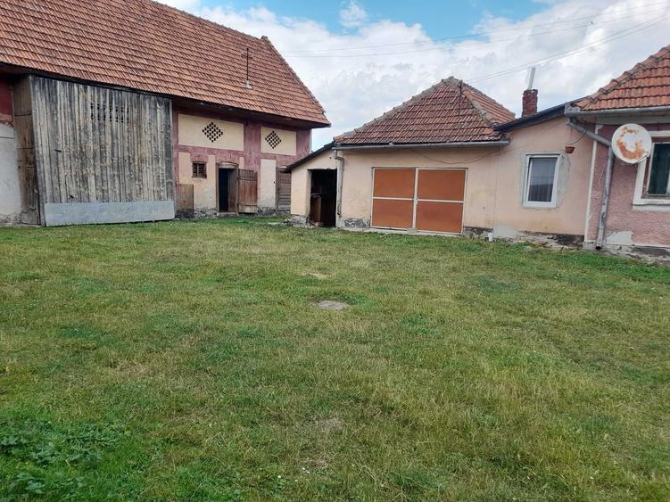 Teren de 24295 mp, în Vama Buzăului