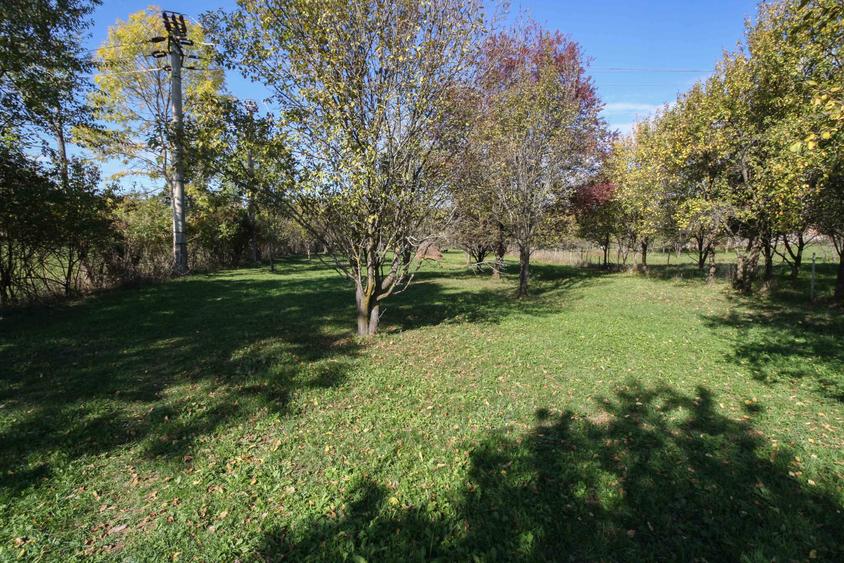 Teren agricol intravilan de 3852 mp, în Poiana
