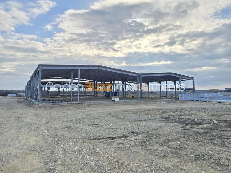 Spațiu industrial, de 9,000 mp, în Afumați