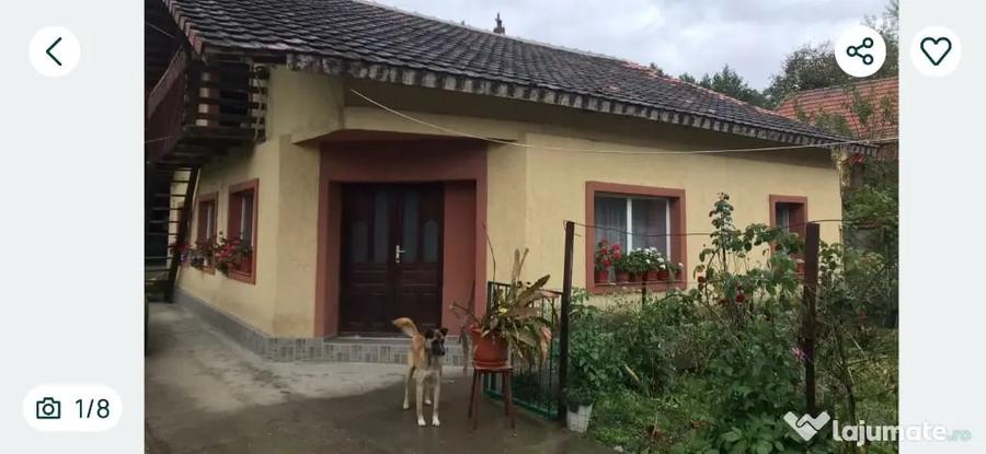 Casă cu 5 camere în Ilovăț