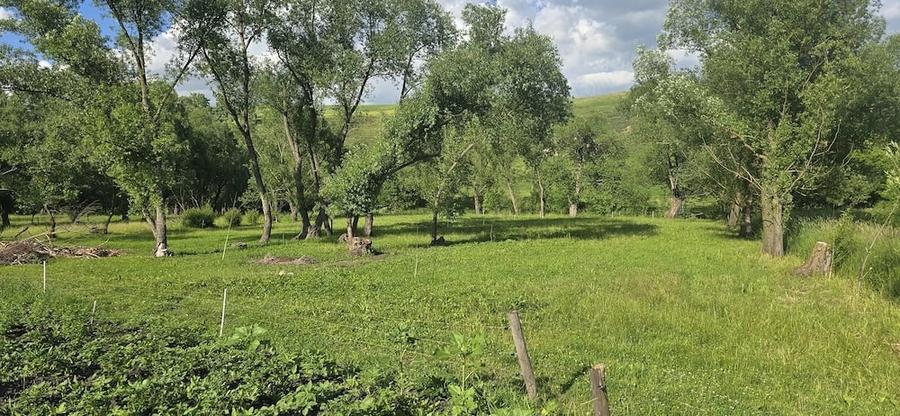 Casă cu Teren 93 Mp în Zaharești