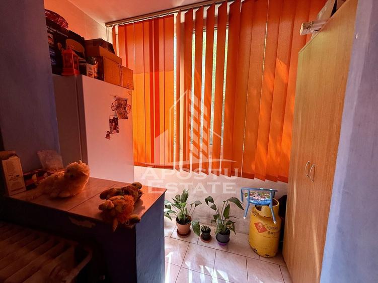 Apartament cu 2 camere nedecomandat, mobilat în Șagului