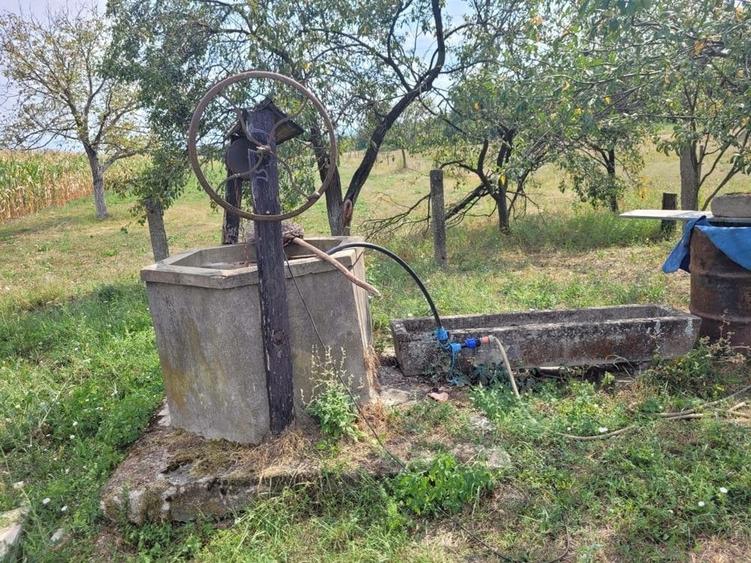 Casă în Topa de Criș