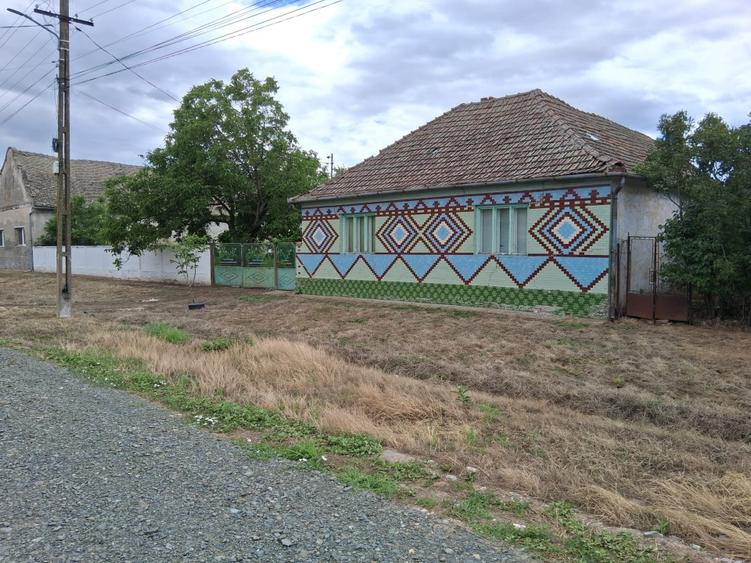 Casă individuală cu 3 camere cu Teren 4696 Mp în Vălcani