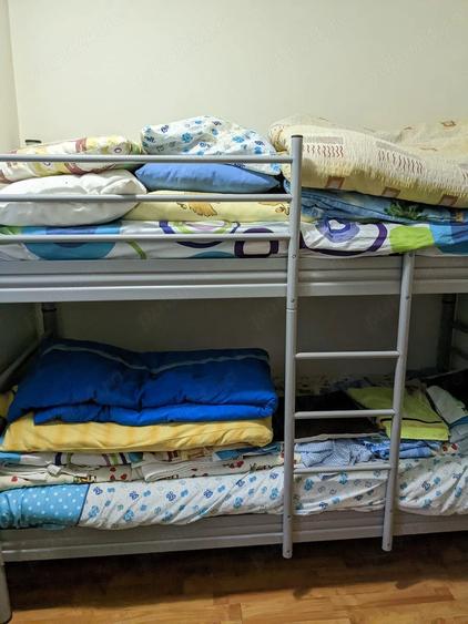 Casă cu 4 camere cu Teren 1866 Mp în Bădeni