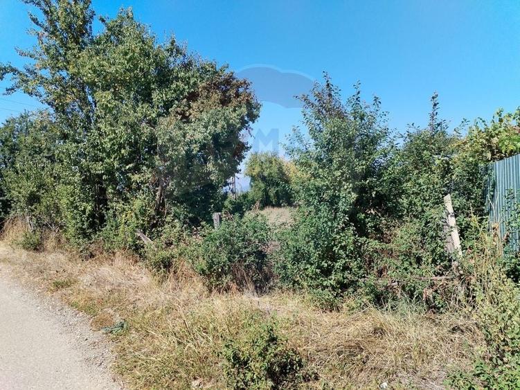 Teren agricol intravilan de 1035 mp, în Nord