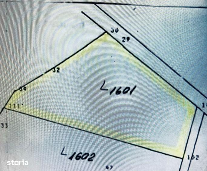 Teren intravilan de 1.125 mp la liziera Padurii Gheorghe Doja Oradea - 2