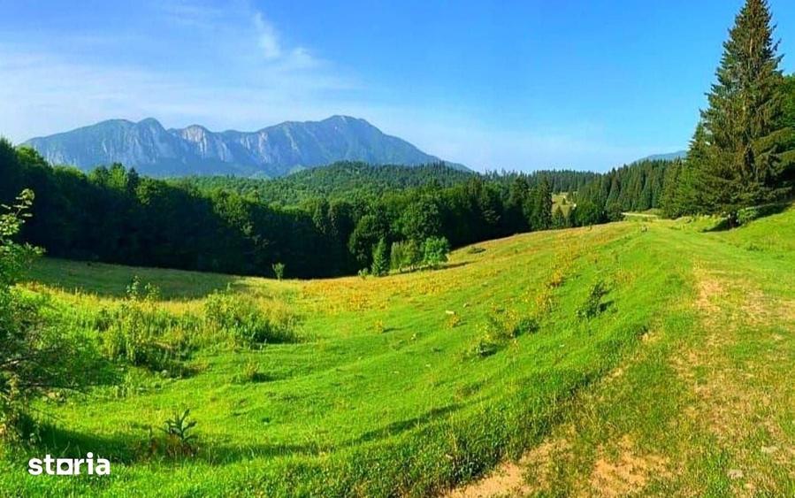 Teren de 2650 mp, în Central