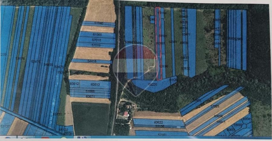 Teren Construcții intravilan de 7347 mp, în DN 1