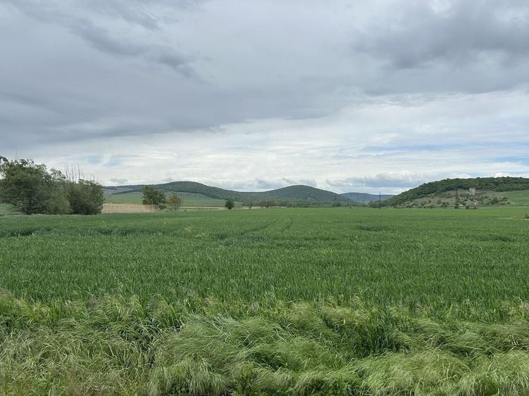 Casă cu 4 camere în Slava Rusă