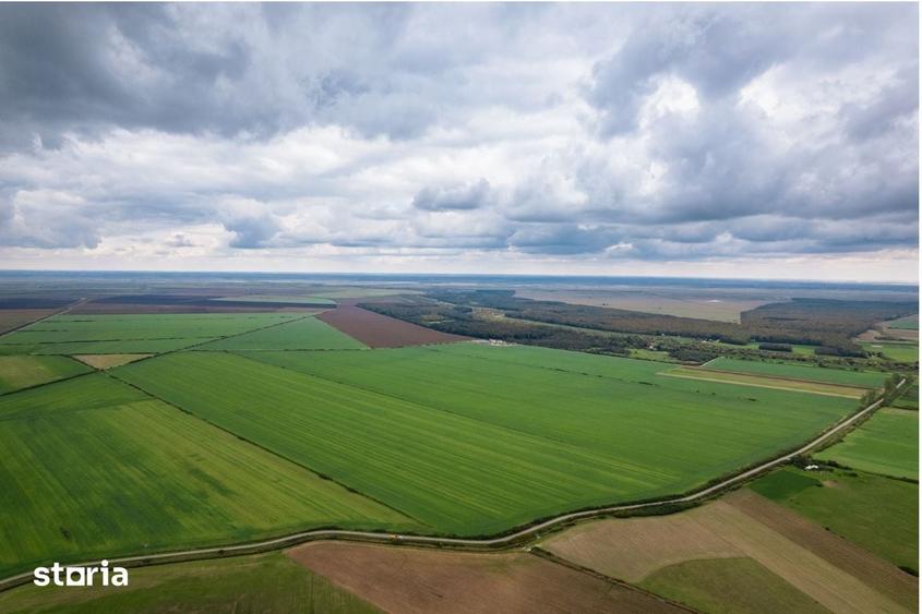 Teren extravilan in Sannicolau Mare 14.6 ha - 2