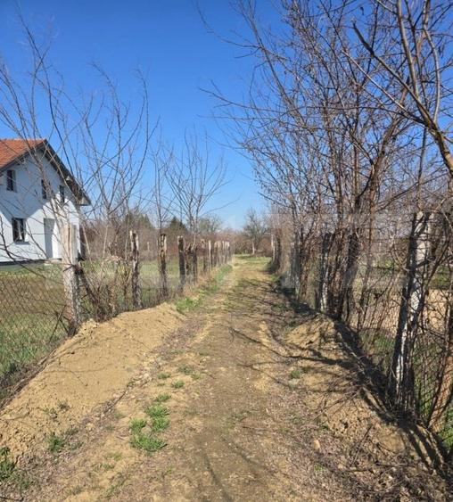 Teren Construcții intravilan de 1400 mp, în Bercu Roșu