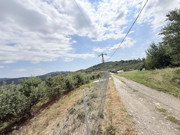 Teren Construcții intravilan de 2721 mp, în Valea Târsei