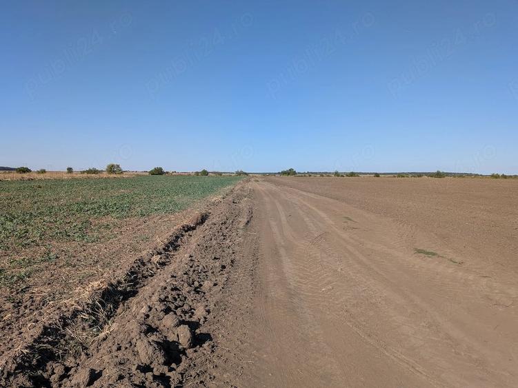 Teren de 500 mp, în Titan