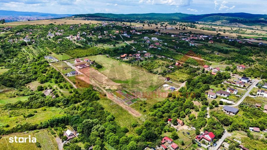 Teren 8.000 MP | Daia Noua | Intravilan | Oportunitate | SkyView - 4