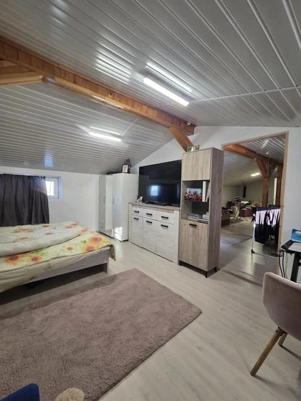 Apartament cu 4 camere decomandat în Plantelor