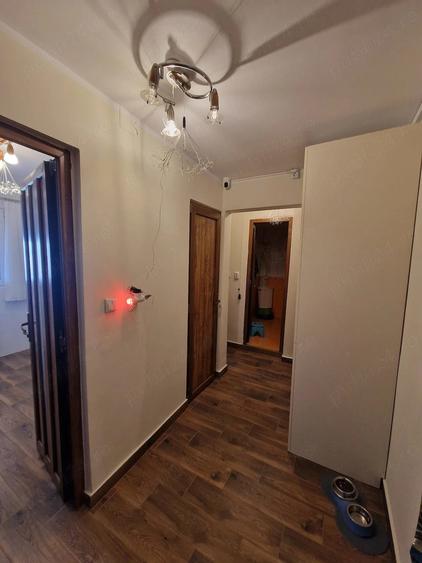 Apartament 2 camere Teiul Doamnei - 1