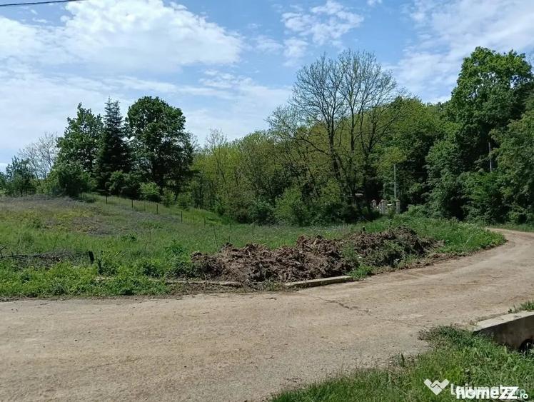 Teren de 1807 mp, în Cocorăștii Mislii