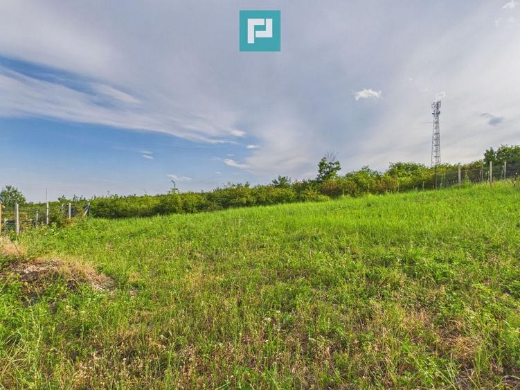 Teren Construcții intravilan de 500 mp, în Săldăbagiu de Munte