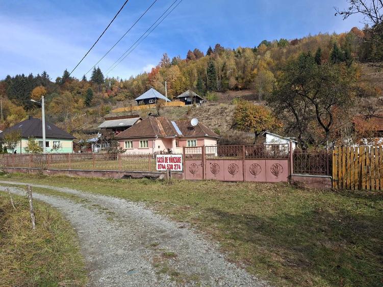 Casă cu 3 camere în Avram Iancu
