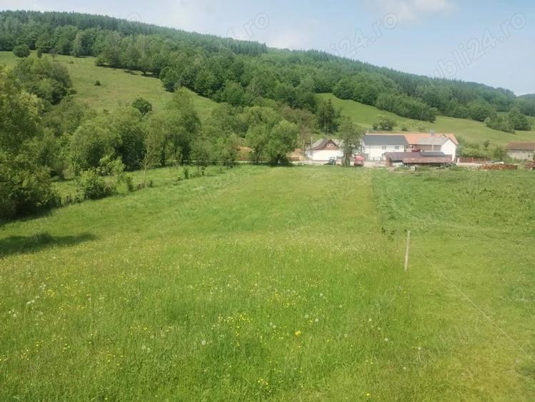 Teren de 5800 mp, în Scrădoasa