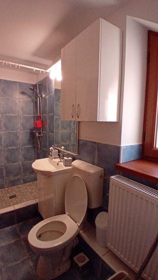 Apartament cu 2 camere semidecomandat în Dosu Bricii