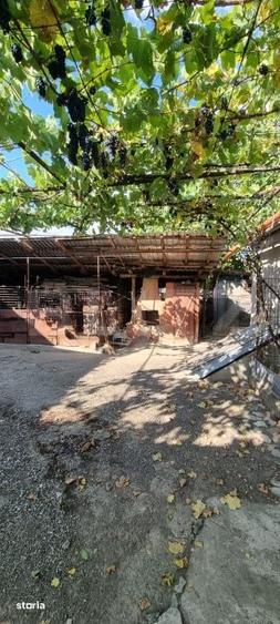 Casa cu 3 camere, anexe, curte si gradina - 3