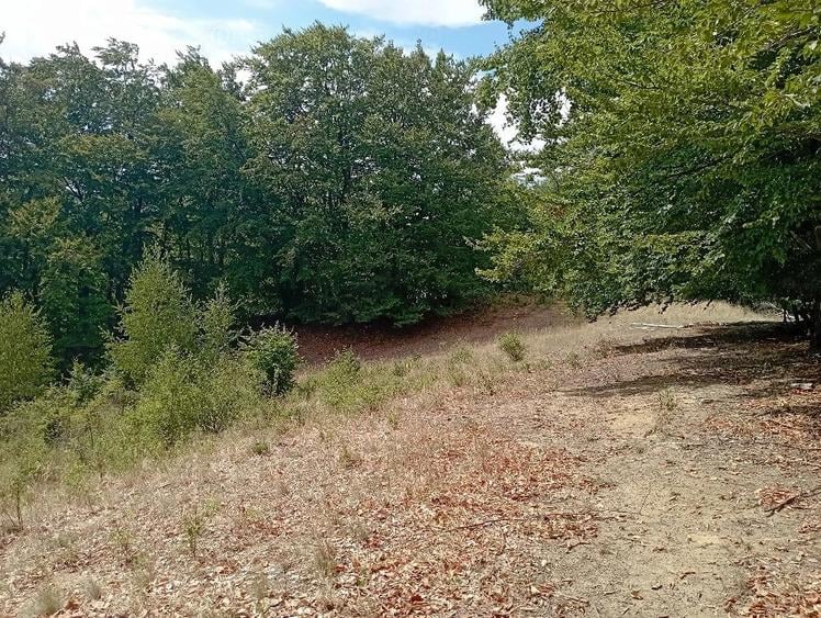 Teren de 3500 mp, în Valea Babei