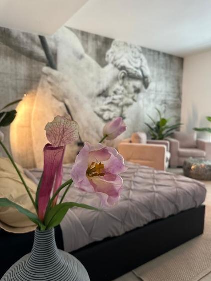 Apartament în Central