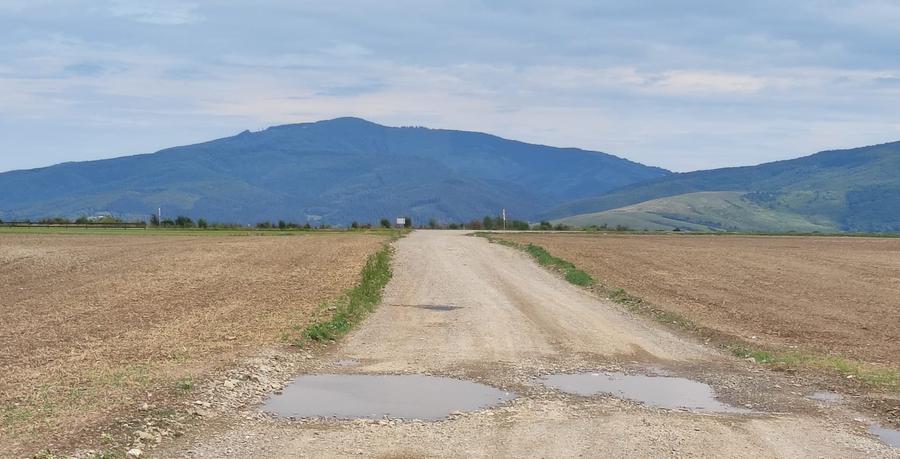 Teren agricol extravilan de 10000 mp, în Cărpiniș
