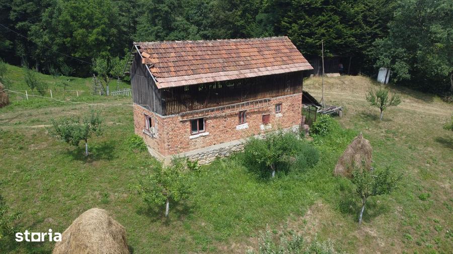 Teren de 6200 mp, în Cicănești