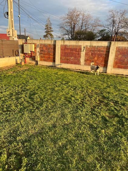 Teren Construcții intravilan de 2360 mp, în Exterior Nord
