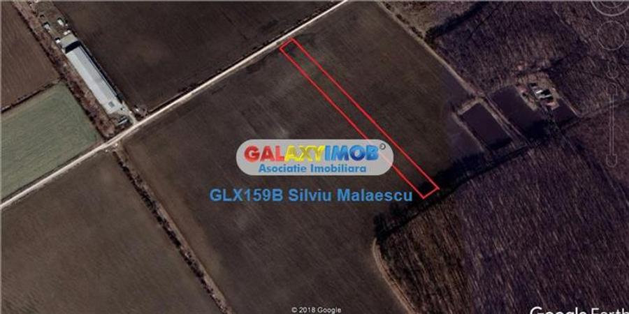 Teren Construcții intravilan de 8601 mp, în Sud