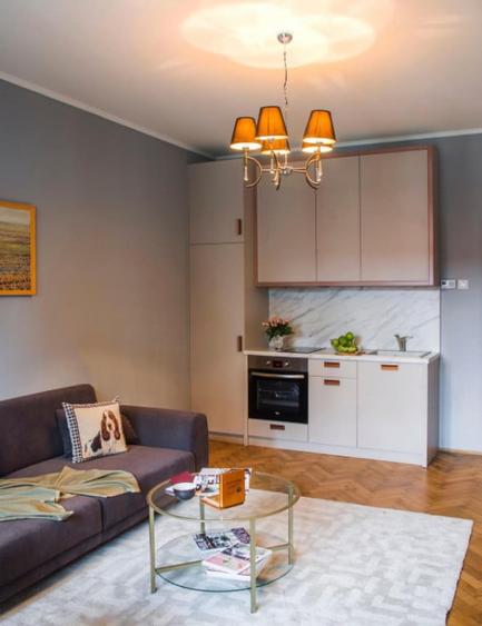 Apartament de LUX la prima inchiriere in Zona Centrala | Clu - 2