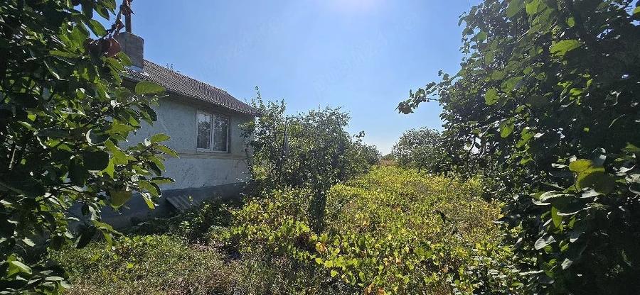 Casă cu 4 camere cu Teren 1952 Mp în Clondiru