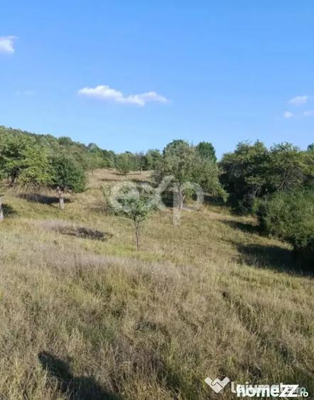 Teren de 4944 mp, în Tigveni