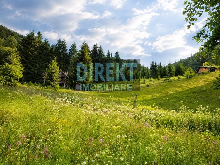 Teren Construcții intravilan de 38000 mp, în Colibița