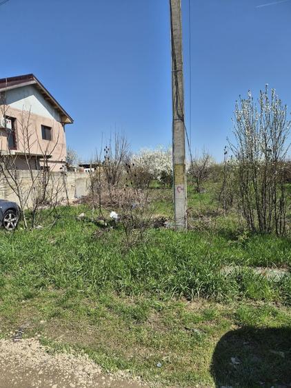 Spațiu comercial, în Mogoșoaia
