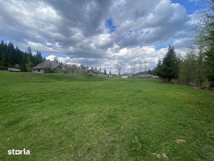 Teren de 55000 mp, în Coșna