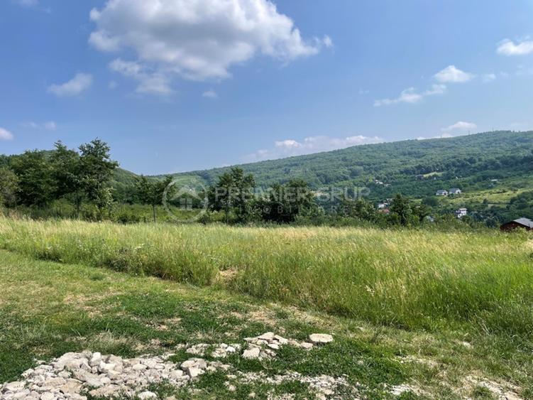 Teren agricol extravilan de 633 mp, în Tomești