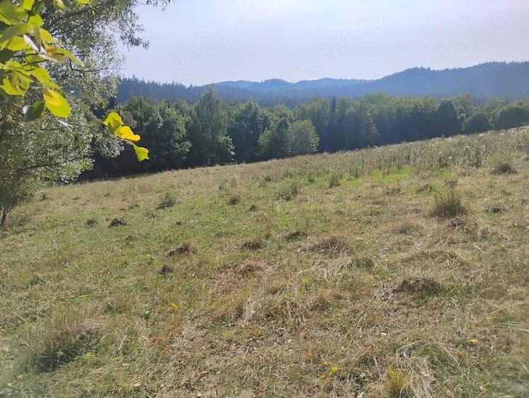 Teren de 10800 mp, în Văratec