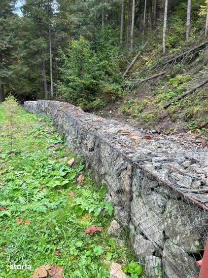Casă cu 4 camere cu Teren 1635 Mp în Șugag