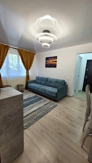 Apartament cu 2 camere semidecomandat, mobilat în Viziru 1