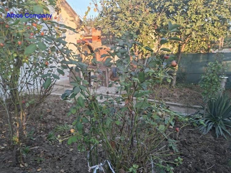Casă individuală cu 2 camere cu Teren 386 Mp în Clinceni