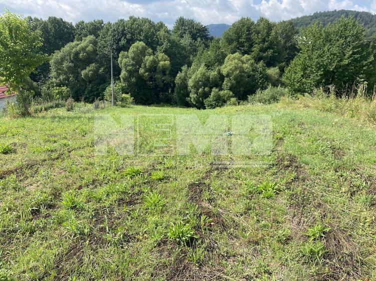Teren Construcții intravilan de 2452 mp, în Voievodeasa