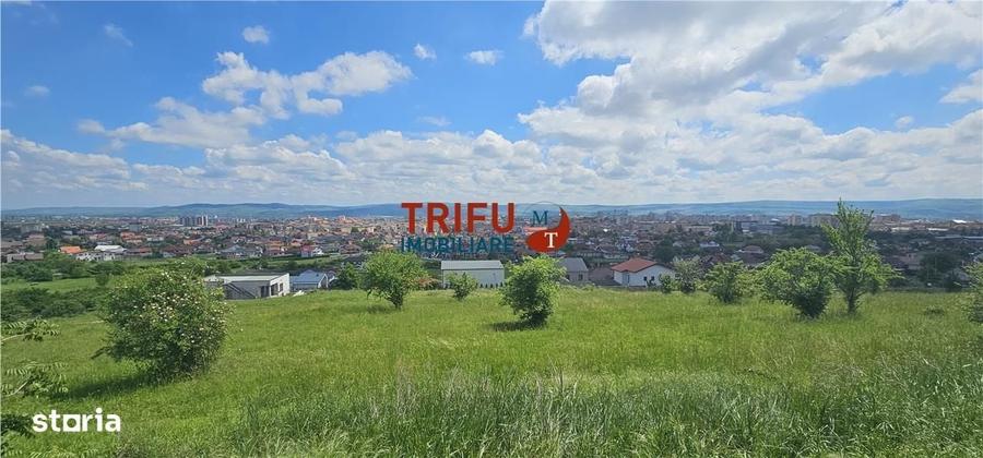 Spațiu comercial, în Cetate
