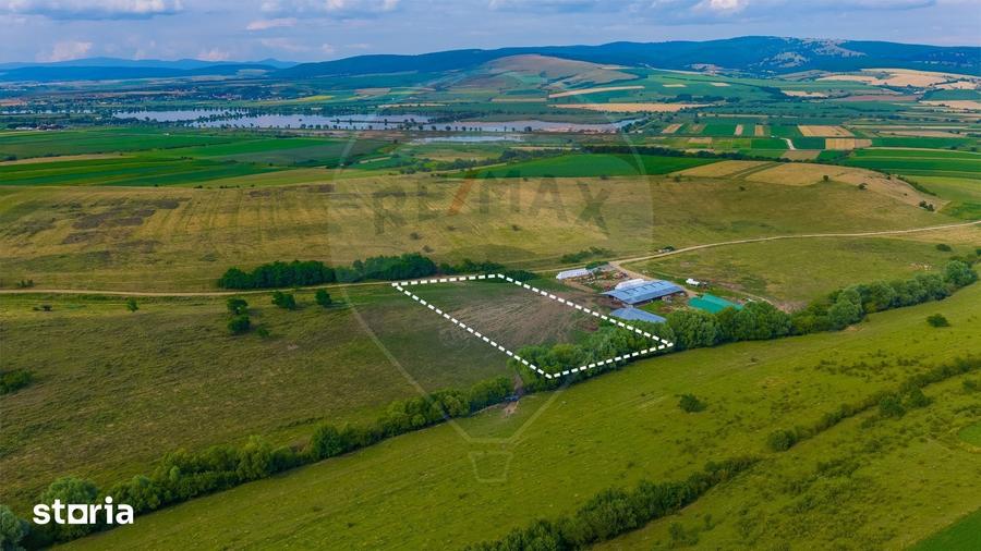 Oportunitate pentru fermieri: 10.800 mp teren arabil in Rotbav, Bra?ov - 9